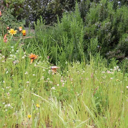 Gasthuis Stazzu Lu Signori 3*