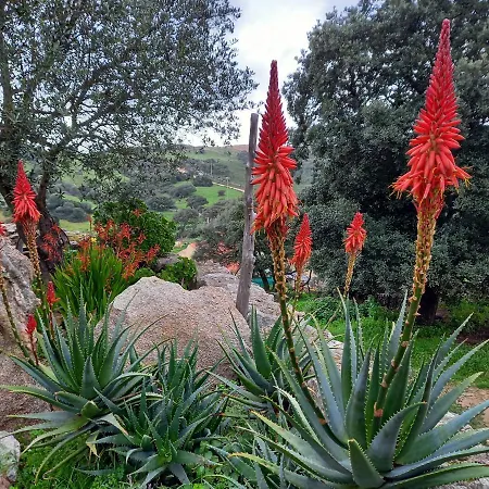 Stazzu Lu Signori Gasthuis Aglientu