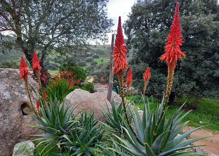 Stazzu Lu Signori Gasthuis Aglientu