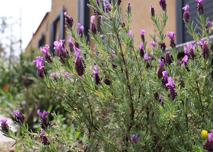 Stazzu Lu Signori 3* Aglientu